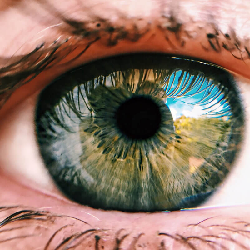 What Resolution Can the Human Eye See?